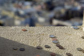 coins dropped from the coit tower to make a good luck wish