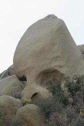 skull rock, a spooky looking rock formation in Joshua tree national park, california