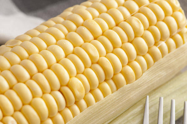 Close-up of yellow raw corn-cob