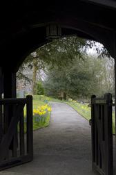 looking through a church litch gate at footpath lined with daffodils