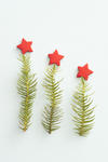 Christmas tree metaphor with three simplified trees of a single sprig of green pine foliage topped with a red star arranged in descending order over white with copyspace